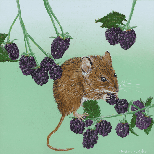 Field Mouse - Acrylic on Canvas Painting, Original Artwork - Mounted Prints