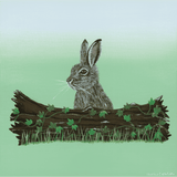 Woodland Hare - Acrylic on Canvas Painting, Original Artwork - Mounted Prints